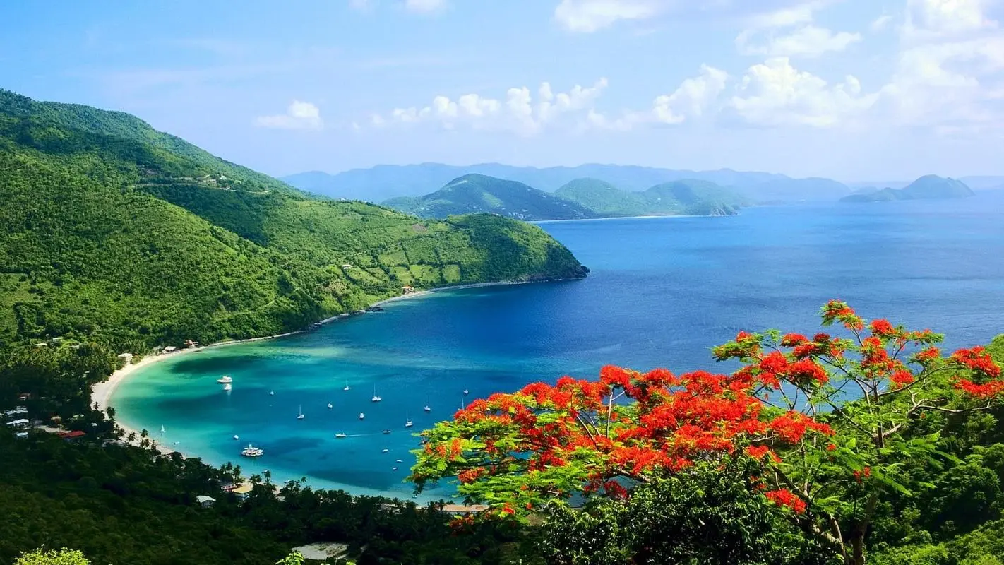 高效科技绿色